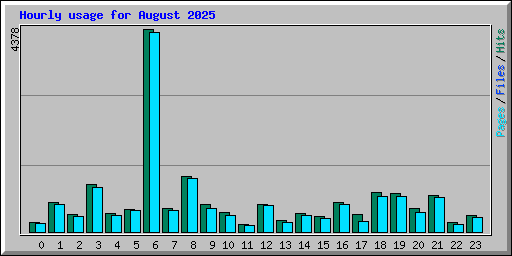 Hourly usage for August 2025