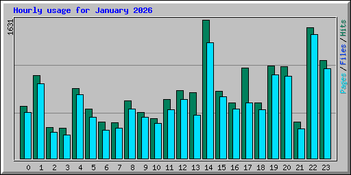 Hourly usage for January 2026